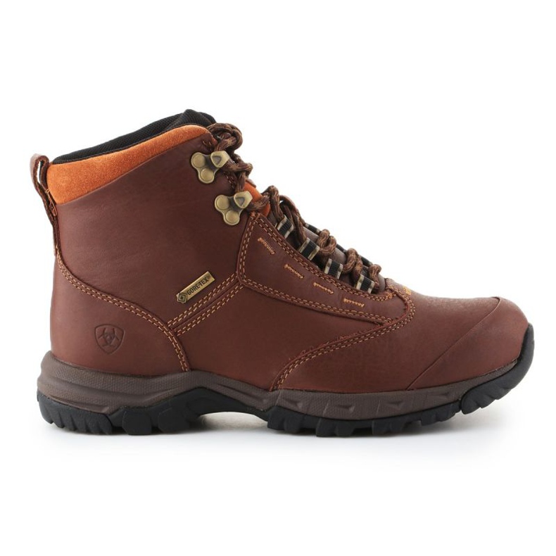 Boty Ariat Berwick Gtx W 10016298 hnědý