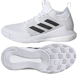 Volejbalové boty Adidas CrazyFlight Mid W FX1792 vícebarevný hnědý