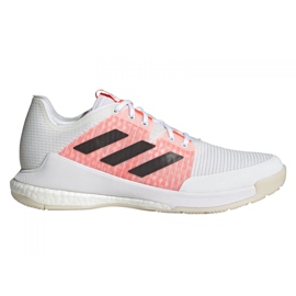 Boty Adidas Crazyflight Tokyo M GW2321 bílý bílý Boty Adidas Crazyflight Tokyo M GW2321 bílý bílý
