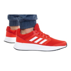 Boty adidas Galaxy 5 Vived M FY6721 červený