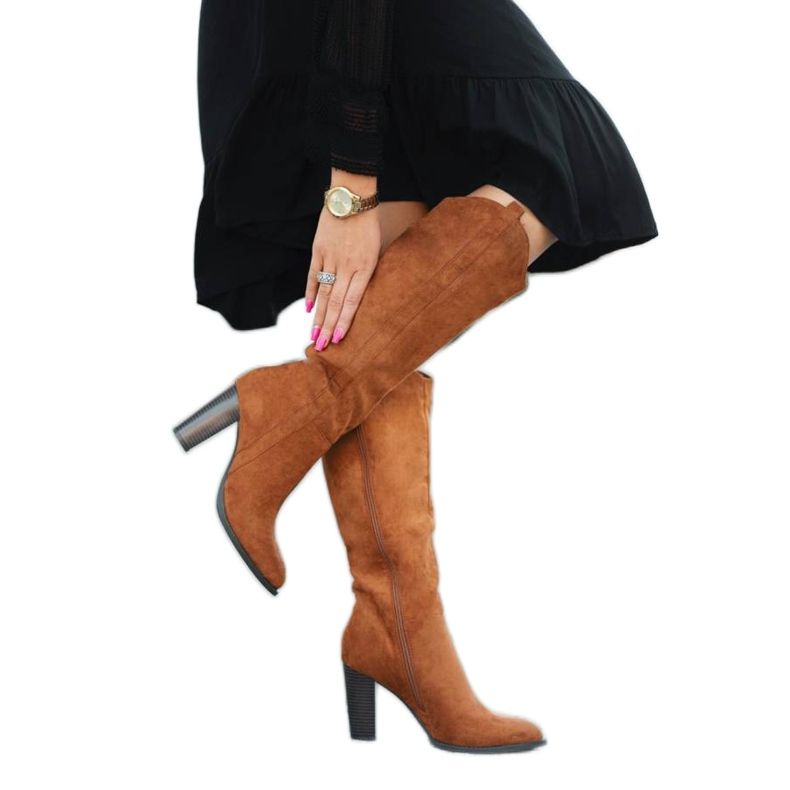 Velbloudí boty na předvečer Eve hnědý šedá