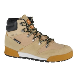 Boty Adidas Terrex Snowpitch Cold.Rdy M FZ3377 béžový
