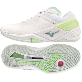 Házenkářské boty Mizuno Wave Stealth Neo W X1GB200035 bílý bílý
