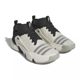 Boty Adidas Trae Unlimited M IF5609 bílý bílý