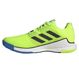 Volejbalové boty Adidas CrazyFlight M HP3356 zelený