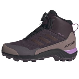 Boty Adidas Terrex Winter Mid Boa Rain.Rdy IF7494 černá