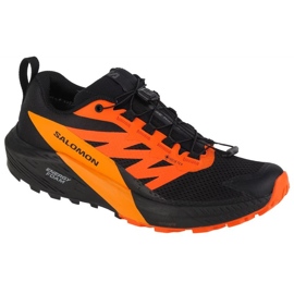 Běžecké boty Salomon Sense Ride 5 Gtx M 471473 vícebarevný