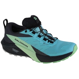 Běžecké boty Salomon Sense Ride 5 Gtx W 472160 modrý