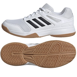 Volejbalové boty Adidas Speedcourt M IE8032 bílý