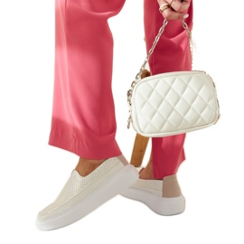 Marcieiny stříbrné brogy stříbro