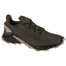 Běžecké boty Salomon Alphacross 4 Gtx M 471169 zelený