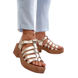 Step in style Sandály Model Zazoo 40410 Gold - Krok ve velkém stylu žluť