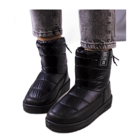 Černé sněhule II274120 - Solea černý