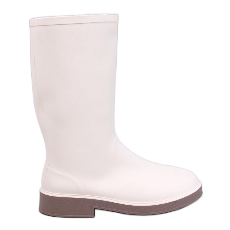 Matte Boots Women's Beige béžový