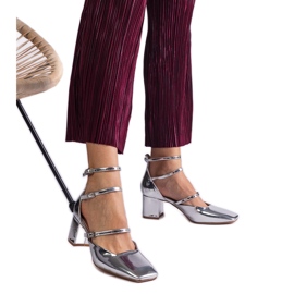 Stříbrná čerpadla se valila na sloupku s sponami stříbrný Stříbrná čerpadla se valila na sloupku s sponami stříbrný