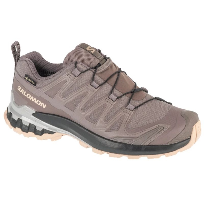 SALOMON XA PRO 3D V9 GTX L47744500 Šedá