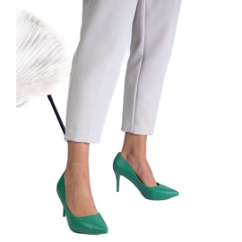 Zelená klasická ekologická čerpadla zelený