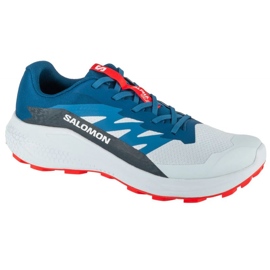 Salomon Alphaglide Ballad L47724300 běžecké boty šedá