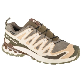SALOMON XA PRO 3D V9 GTX L47820200 BUNDING SOOT zelený