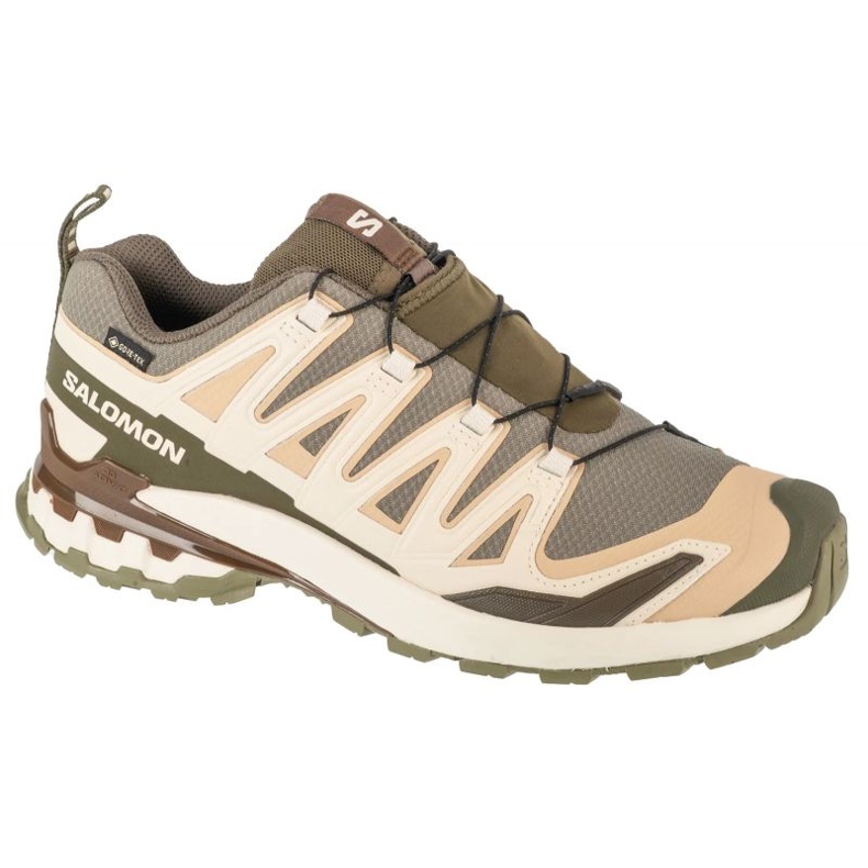 SALOMON XA PRO 3D V9 GTX L47820200 BUNDING SOOT zelená