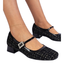 Černá čerpadla s materiálem se zirkony černý