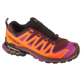 SALOMON XA PRO 3D V9 GTX Running Shoes v L47961900 vícebarevný
