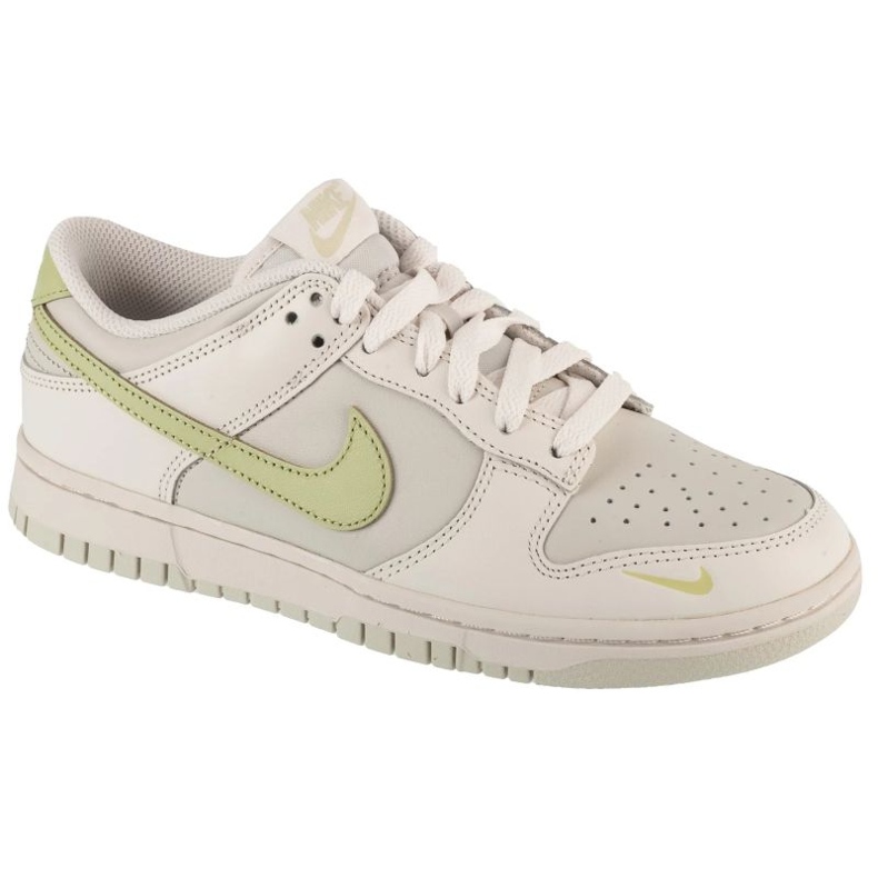 Nike Dunk Low Shoes v IB3484-001