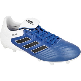 Kopačky Adidas Copa 17,3 Fg M BA9717 modrý modrý Kopačky Adidas Copa 17,3 Fg M BA9717 modrý modrý