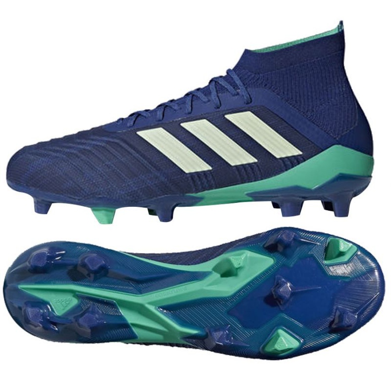 Kopačky Adidas Predator 18.1 Fg M CM7411 modrý modrý