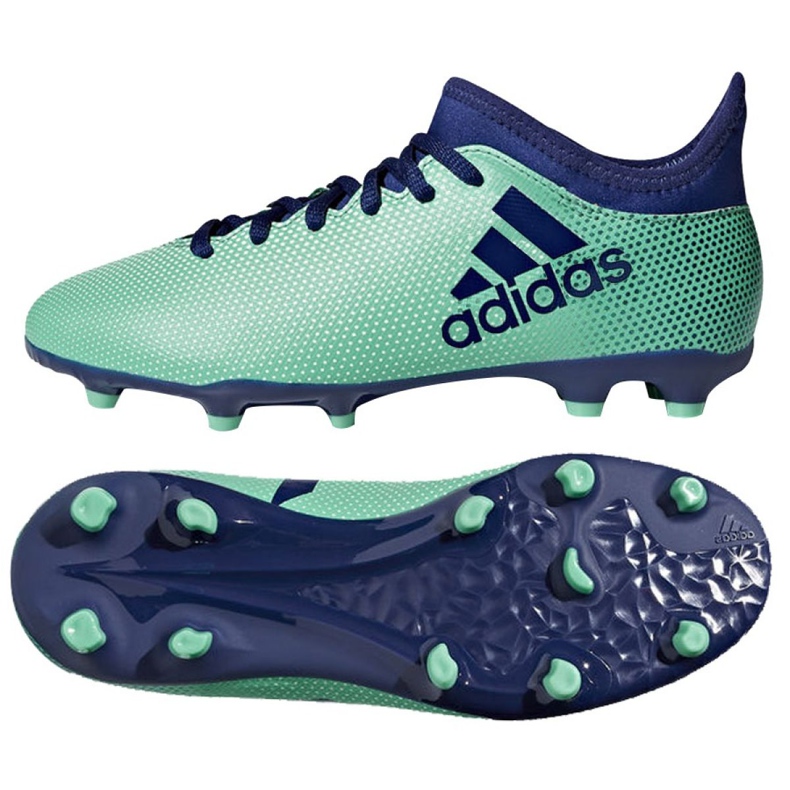 Kopačky Adidas X 17.3 Fg Jr CP8993 vícebarevný modrý