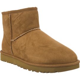 Ugg Klasický Mini Ii Kaštan hnědý žlutá Ugg Klasický Mini Ii Kaštan hnědý žlutá