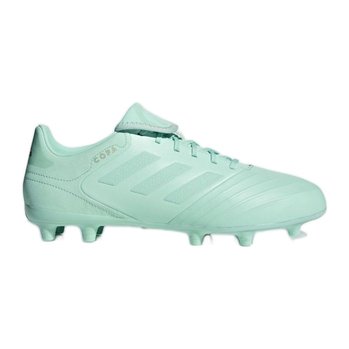 Kopačky adidas Copa 18.3 Fg M zelená Kopačky adidas Copa 18.3 Fg M zelená