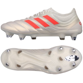Kopačky Adidas Copa 19.1 SG M F36075 stříbrný
