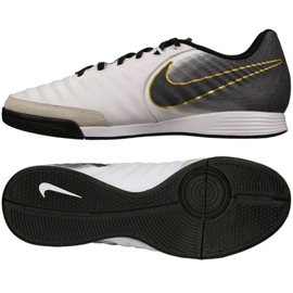 Sálová obuv Nike Tiempo LegendX 7 Academy Ic M AH7244-100 šedá stříbro