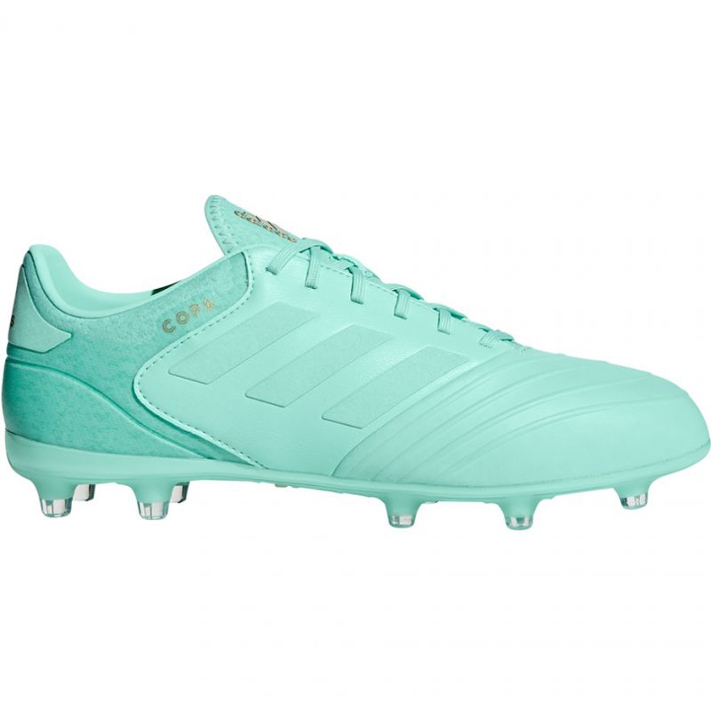 Kopačky Adidas Copa 18.2 FG M DB2446 modrý