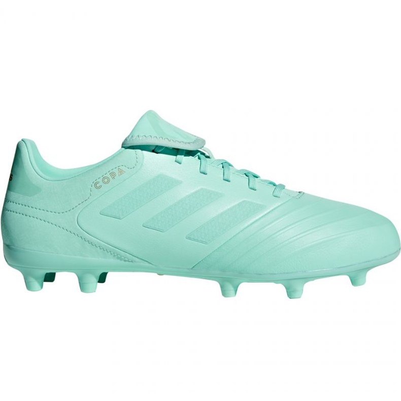 Kopačky Adidas Copa 18.3 Fg M DB2462 modrý modrý Kopačky Adidas Copa 18.3 Fg M DB2462 modrý modrý