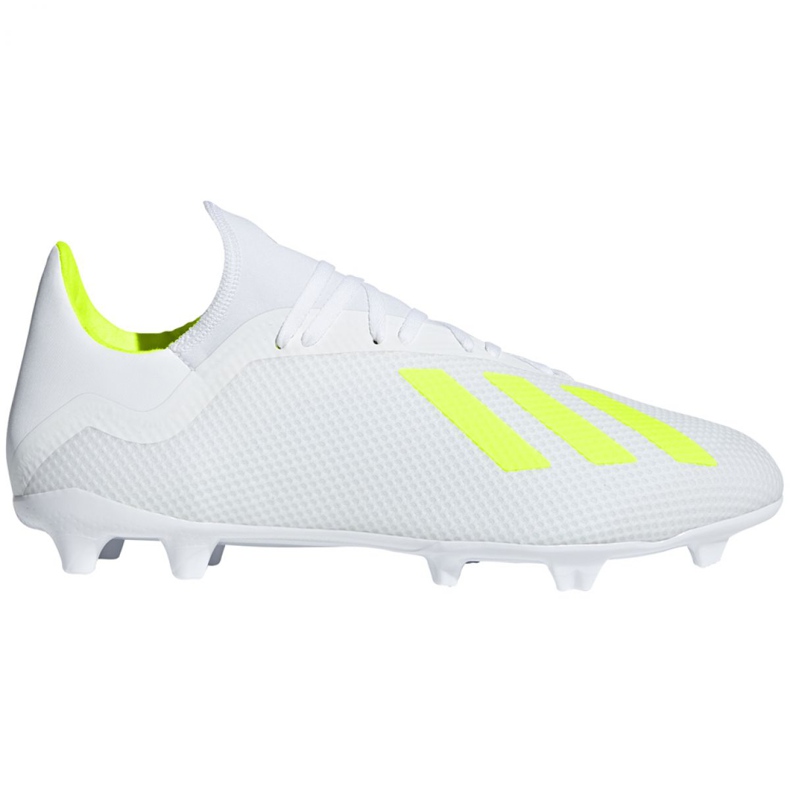 Kopačky Adidas X 18.3 Fg M BB9368 bílý bílý