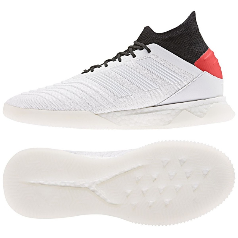 Kopačky Adidas Predator 19.1 Tr M F35619 vícebarevný bílý