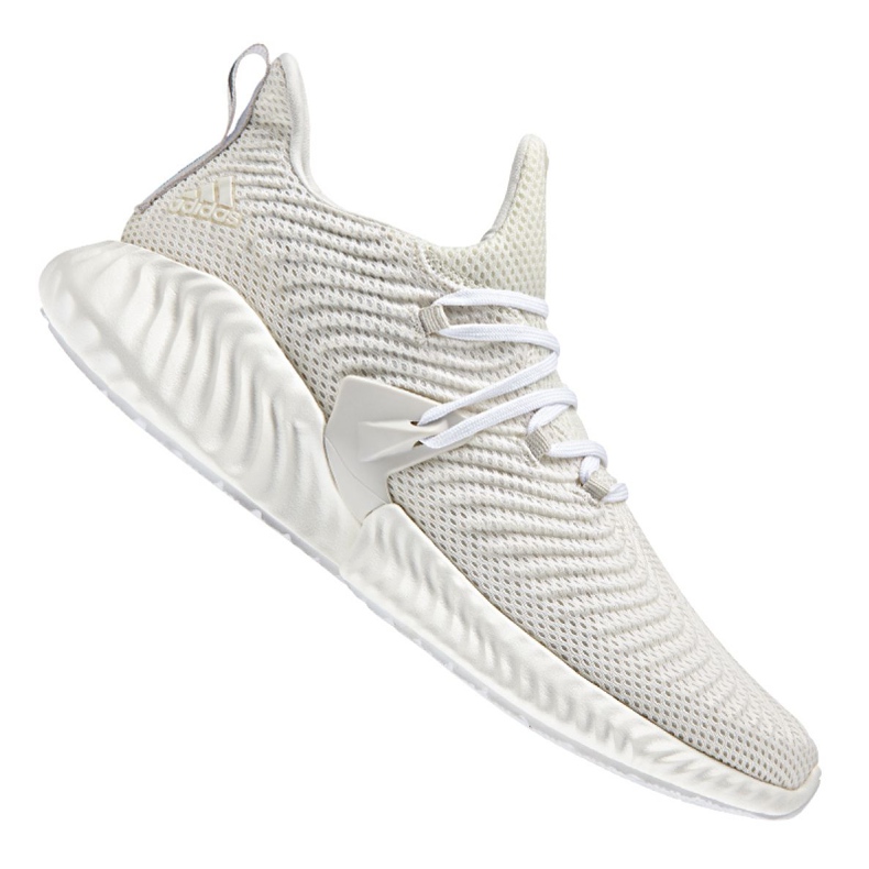 Běžecké boty adidas Alphabounce Instinct M BD7111 bílý