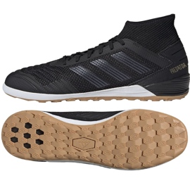 Sálová obuv adidas Predator 19.3 In M F35617 černý černý