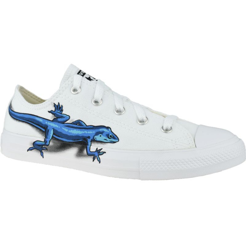Legend Converse Lizards Chuck Taylor All Star Low Kids 667532C bílý