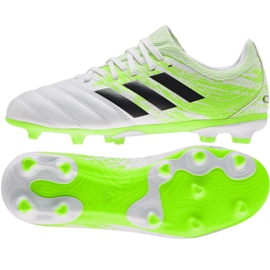 Kopačky Adidas Copa 20.3 Fg Jr EF1913 vícebarevný zelený