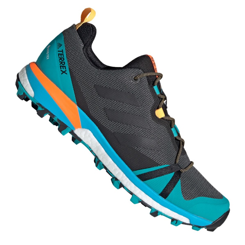 Boty Adidas Terrex Skychaser Lt Gtx M FX0148 vícebarevný modrý