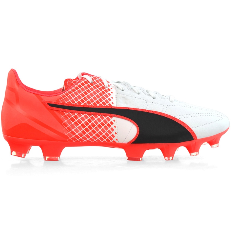 Kopačky Puma Evo Speed ​​3.5 Fg Leather 103794 01 modrá, bílá, černá vícebarevný
