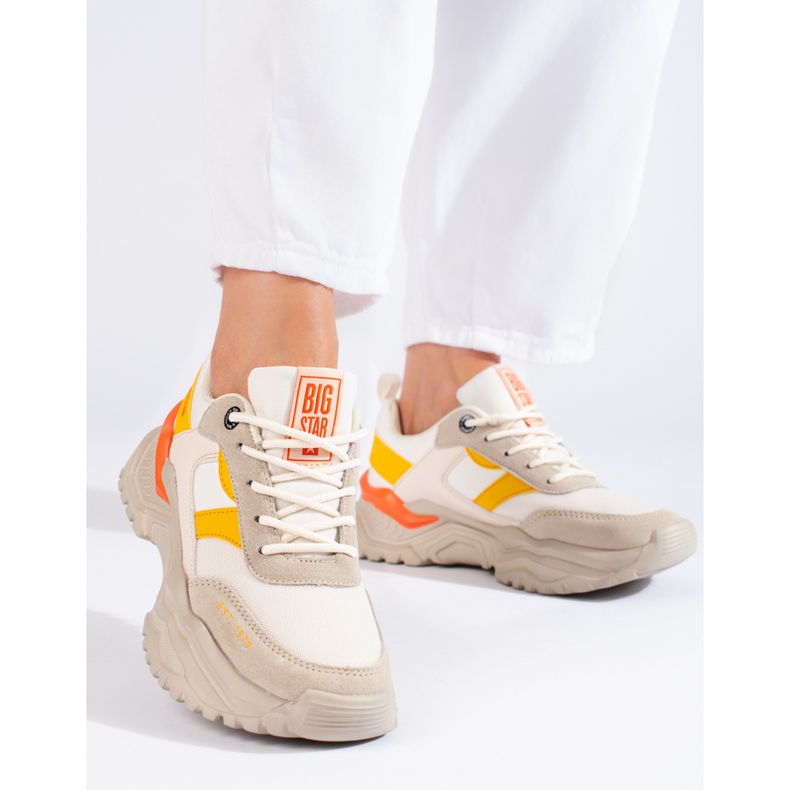 Dámské tenisky Big Star JJ274A411 vícebarevný 1 Dámské tenisky Big Star JJ274A411 vícebarevný 1