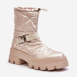 PH2 Dámské kozačky na masivní podrážce a plochém podpatku, Beige Werikse béžový 1
