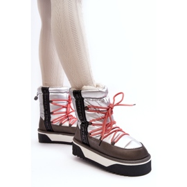 D.Franklin Dámské sněhové boty na tlusté veganské podráždě d.franlin dfsh371006 stříbro stříbrný 1 D.Franklin Dámské sněhové boty na tlusté veganské podráždě d.franlin dfsh371006 stříbro stříbrný 1