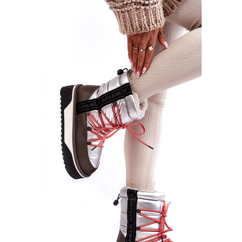 D.Franklin Dámské sněhové boty na tlusté veganské podráždě d.franlin dfsh371006 stříbro stříbrný 2 D.Franklin Dámské sněhové boty na tlusté veganské podráždě d.franlin dfsh371006 stříbro stříbrný 2