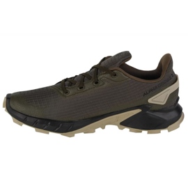 Běžecké boty Salomon Alphacross 4 Gtx M 471169 zelený 1