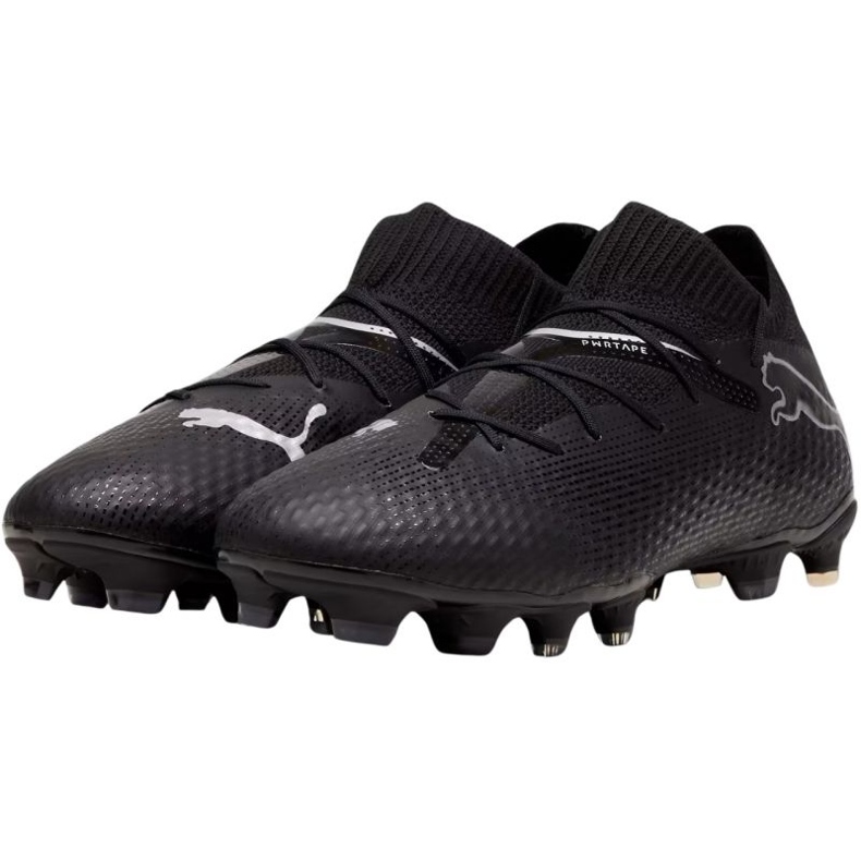 Kopačky Puma Future 7 Pro FG/AG 107924 02 černá 2